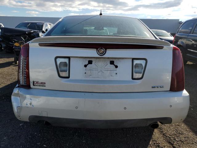 1G6DW677960122910 - 2006 CADILLAC STS თეთრი ფოტო 6