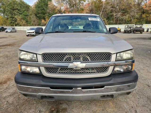 2GCEC19T341217360 - 2004 CHEVROLET SILVERADO C1500 ვერცხლისფერი ფოტო 5