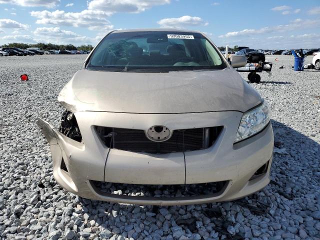 2T1BU40E29C160660 - 2009 TOYOTA COROLLA BASE 金色 照片 5