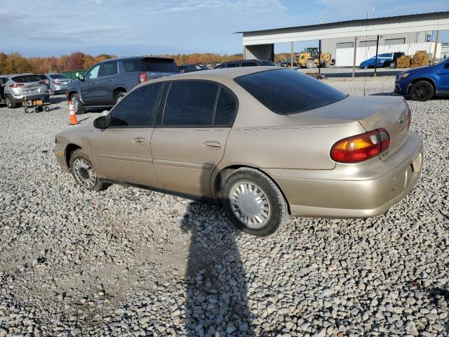 1G1ND52F64M579673 - 2004 CHEVROLET CLASSIC Qızıl foto 2