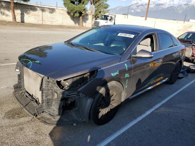 2015 HYUNDAI SONATA SPORT, 