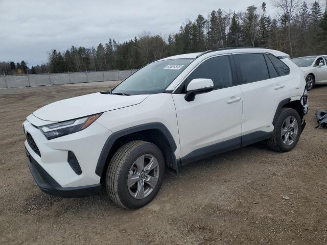 2024 TOYOTA RAV4 XLE, 