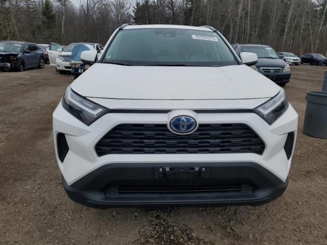 2T3RWRFV0RW250828 - 2024 TOYOTA RAV4 XLE WHITE photo 5