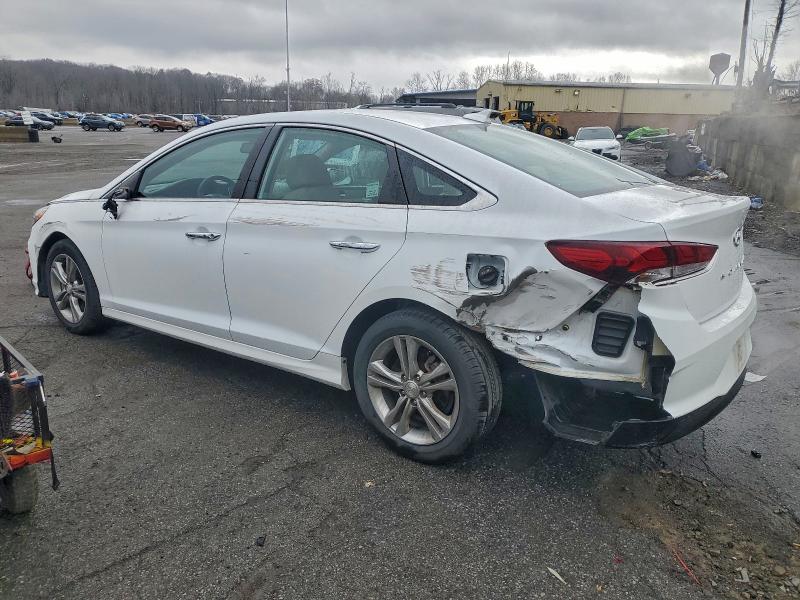 5NPE34AF9KH734536 - 2019 HYUNDAI SONATA LIMITED أبيض صورة 2