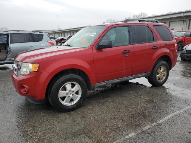 2009 FORD ESCAPE XLT, 