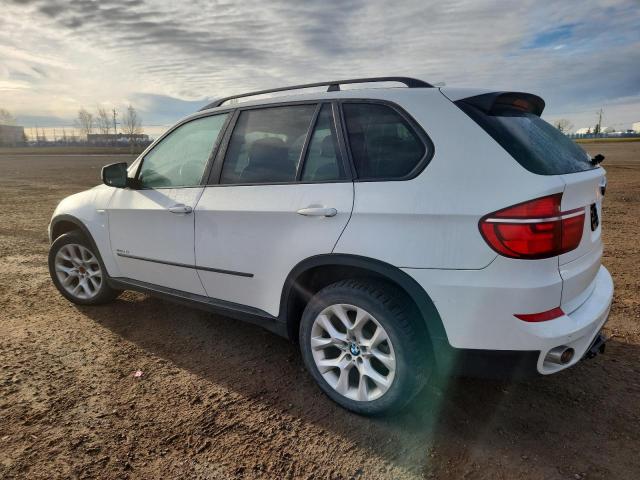 5UXZW0C53D0B92583 - 2013 BMW X5 XDRIVE35D WHITE photo 2