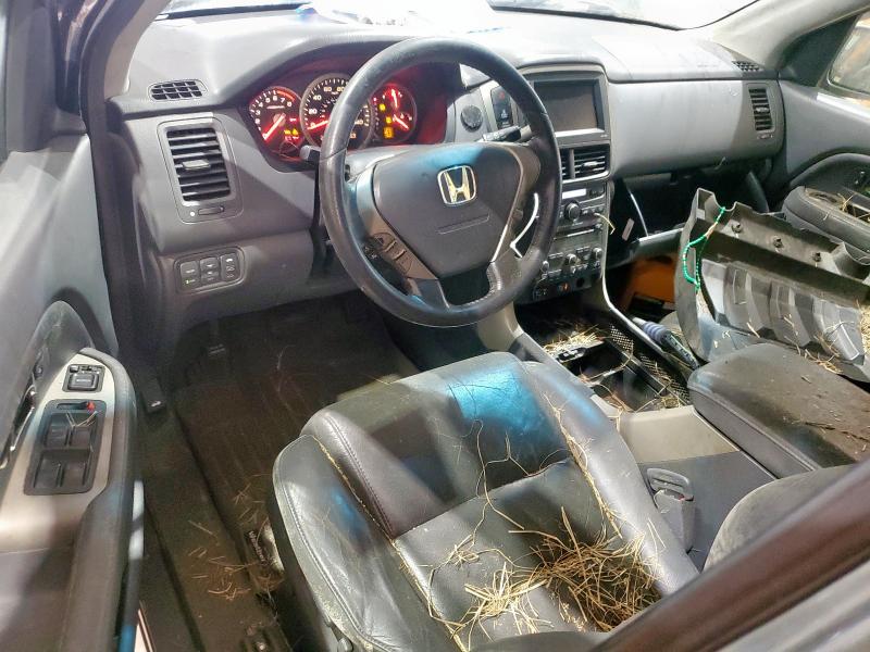 5FNYF18727B012638 - 2007 HONDA PILOT EXL Сұр фото 8