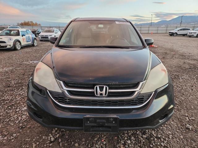 5J6RE4H79BL079441 - 2011 HONDA CR-V EXL შავი ფოტო 5