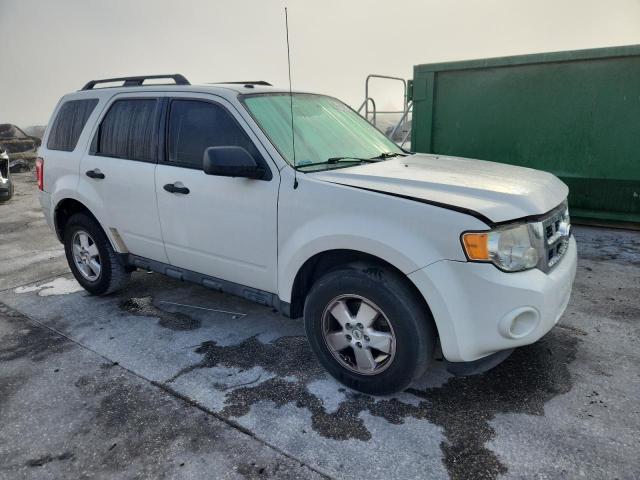 1FMCU0DG9CKB57149 - 2012 FORD ESCAPE XLT თეთრი ფოტო 4