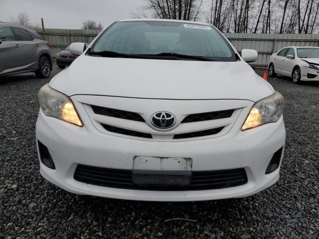 2T1BU4EE1CC821904 - 2012 TOYOTA COROLLA BASE Biały zdjęcie 5