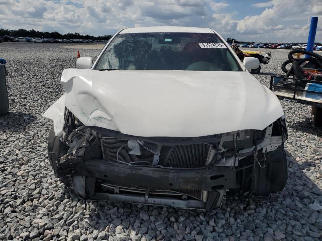 4T1BE46K58U769748 - 2008 TOYOTA CAMRY CE WHITE photo 5