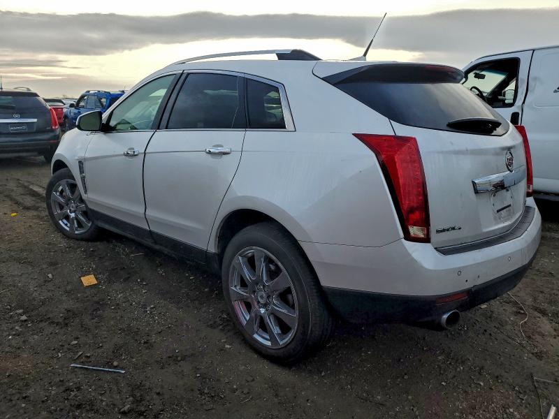 3GYFNEEY4BS537242 - 2011 CADILLAC SRX PERFORMANCE COLLECTION أبيض صورة 2