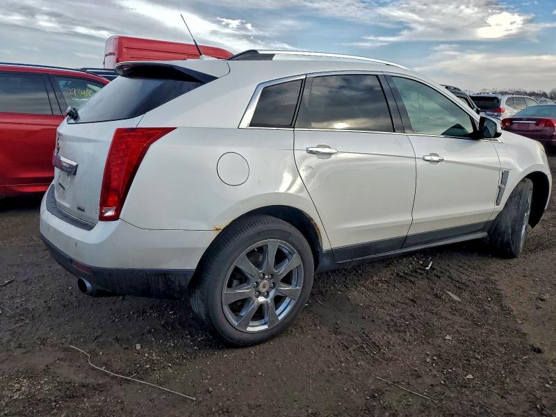 3GYFNEEY4BS537242 - 2011 CADILLAC SRX PERFORMANCE COLLECTION أبيض صورة 3