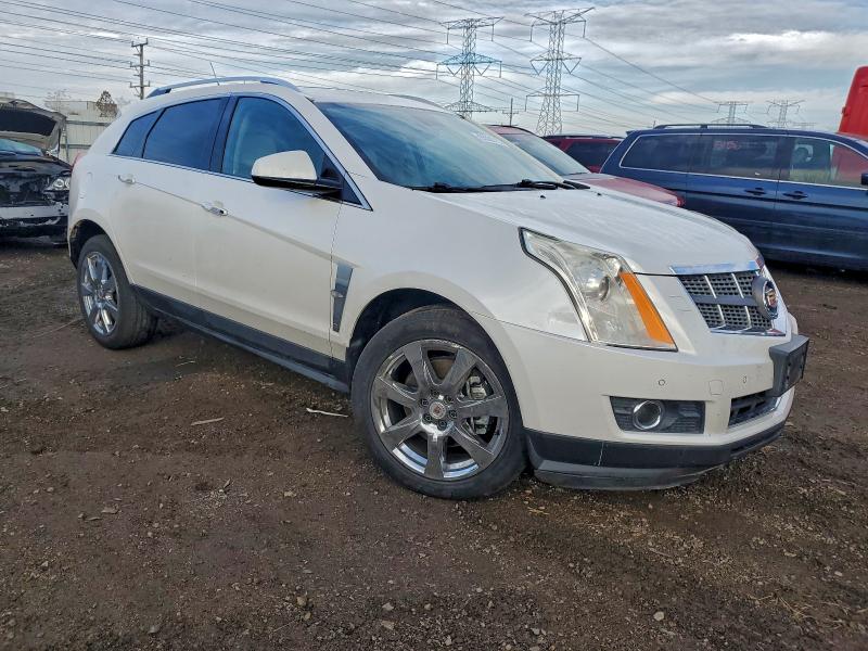 3GYFNEEY4BS537242 - 2011 CADILLAC SRX PERFORMANCE COLLECTION أبيض صورة 4