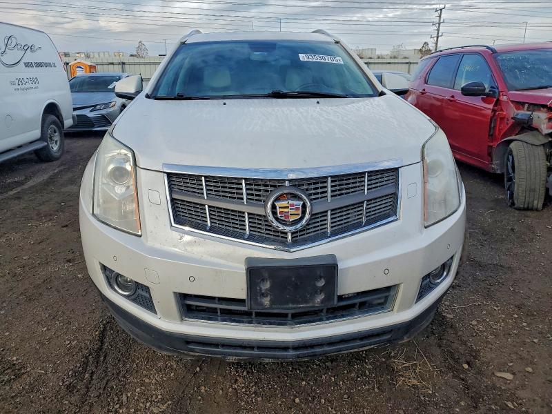 3GYFNEEY4BS537242 - 2011 CADILLAC SRX PERFORMANCE COLLECTION أبيض صورة 5