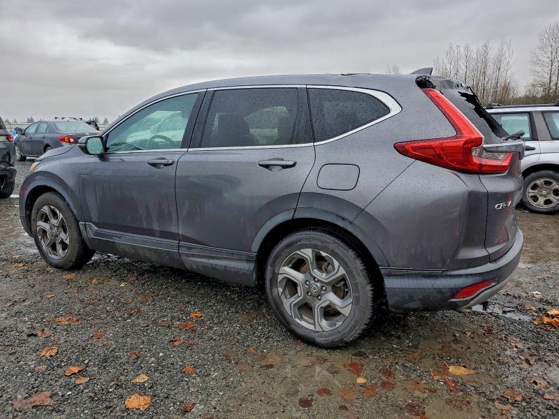 5J6RW1H81KA003406 - 2019 HONDA CR-V EXL Boz foto 2