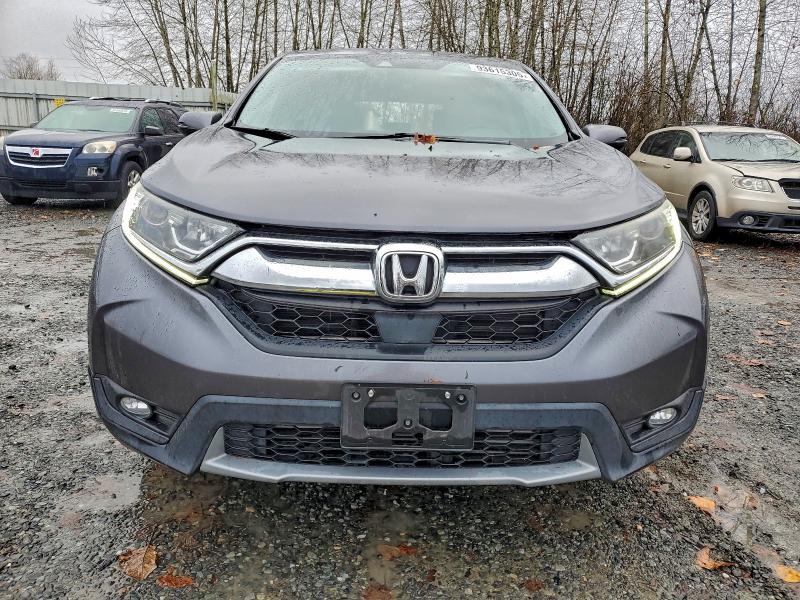 5J6RW1H81KA003406 - 2019 HONDA CR-V EXL Boz foto 5