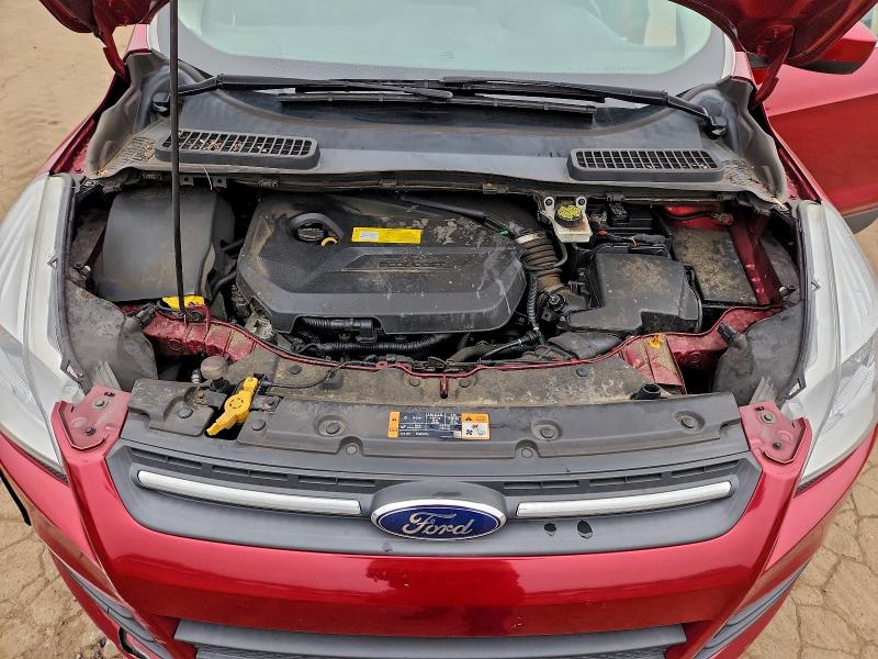 1FMCU9GX4GUB50605 - 2016 FORD ESCAPE SE წითელი ფოტო 12