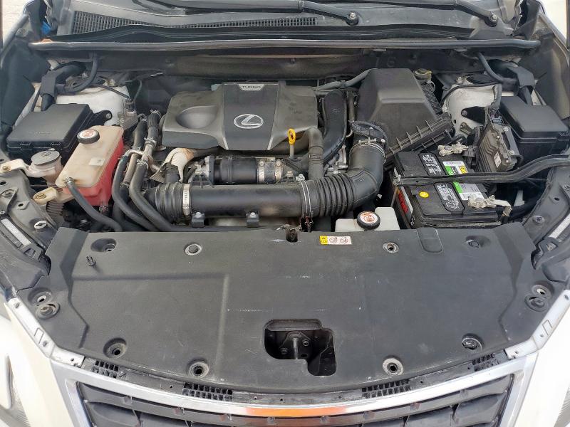 JTJAARBZXL2158305 - 2020 LEXUS NX 300 BASE თეთრი ფოტო 12