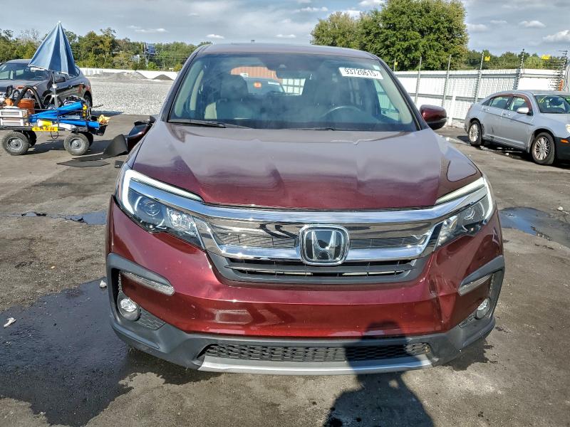 5FNYF5H50LB001086 - 2020 HONDA PILOT EXL RED photo 5