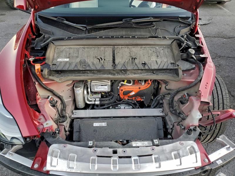 7SAYGDEE2RA233791 - 2024 TESLA MODEL Y Czerwony zdjęcie 12