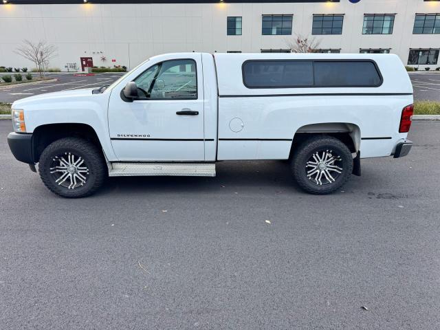 1GCNCPEA0BF128410 - 2011 CHEVROLET SILVERADO C1500 თეთრი ფოტო 14