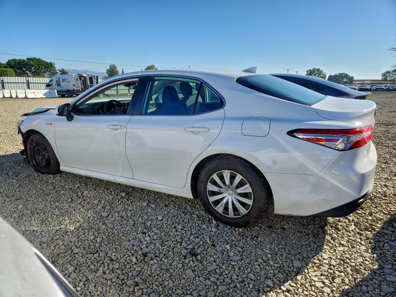 4T1C31AK9LU538800 - 2020 TOYOTA CAMRY LE WHITE photo 2