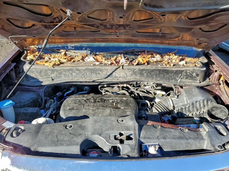 5FNYF4H60DB066783 - 2013 HONDA PILOT EXL BURGUNDY photo 12