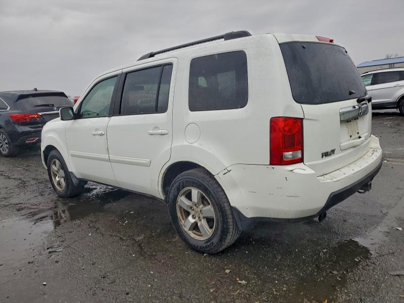 5FNYF4H50AB034239 - 2010 HONDA PILOT EXL WHITE photo 2
