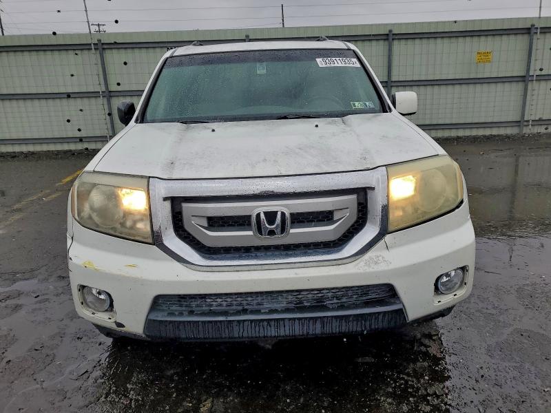 5FNYF4H50AB034239 - 2010 HONDA PILOT EXL WHITE photo 5