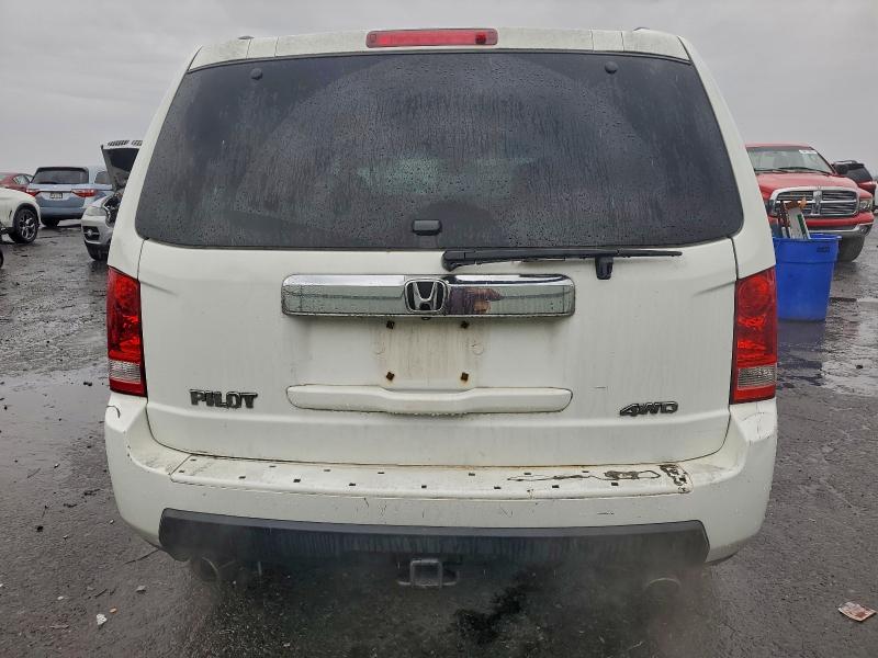 5FNYF4H50AB034239 - 2010 HONDA PILOT EXL WHITE photo 6