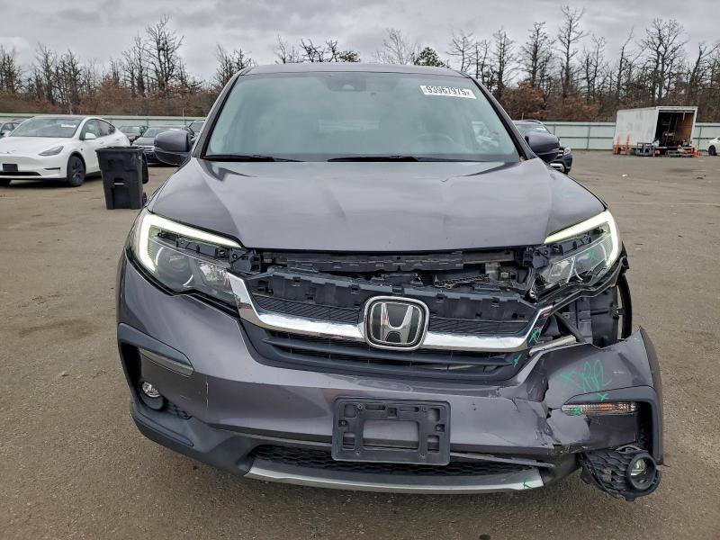 5FNYF6H56KB012842 - 2019 HONDA PILOT EXL Boz foto 5