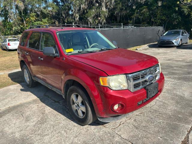 2010 FORD ESCAPE XLT, 