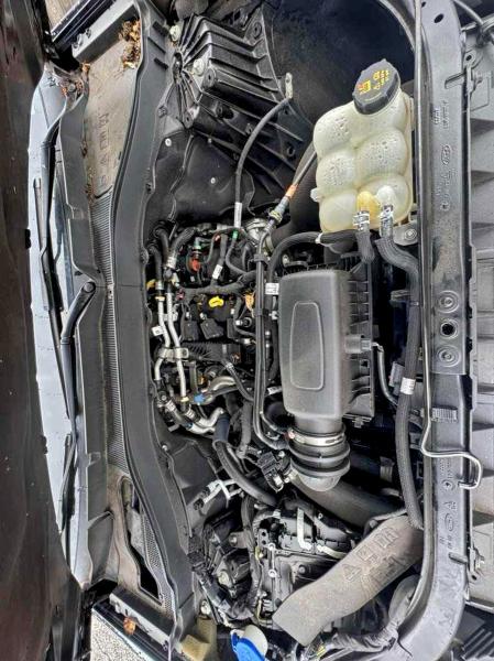 1FMSK8DH4NGA82309 - 2022 FORD EXPLORER XLT BLACK photo 7