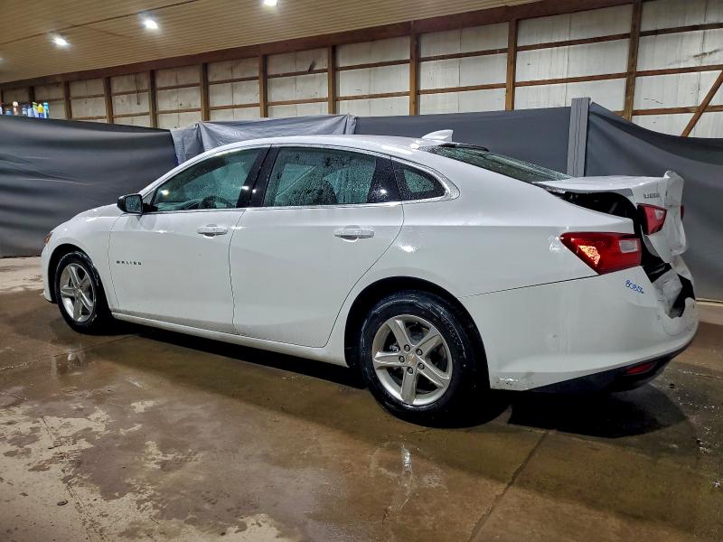 1G1ZD5STXRF126174 - 2024 CHEVROLET MALIBU LT WHITE photo 2