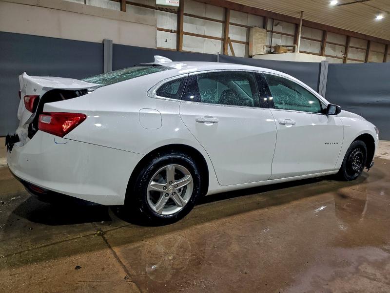 1G1ZD5STXRF126174 - 2024 CHEVROLET MALIBU LT WHITE photo 3
