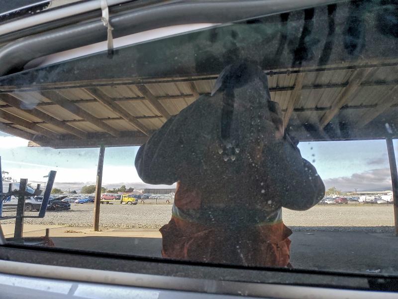 7SAYGDEF2NF547351 - 2022 TESLA MODEL Y GRAY photo 10