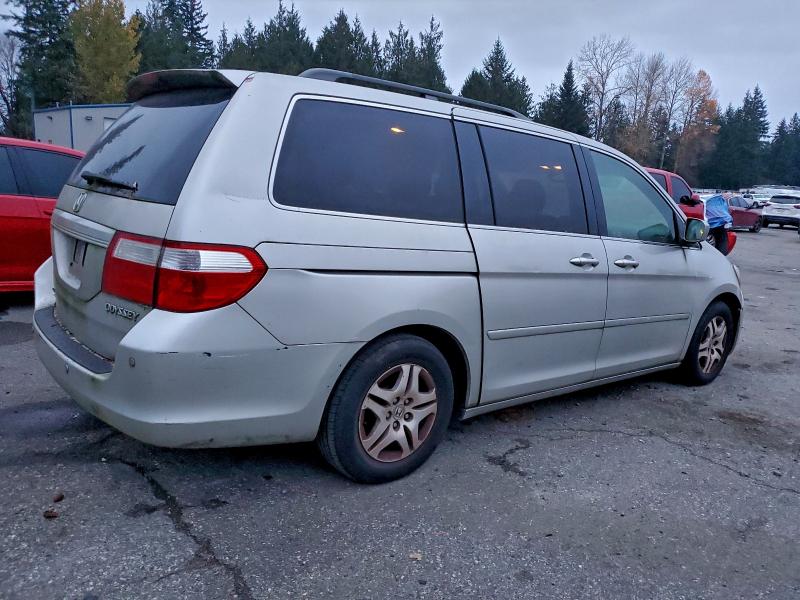 5FNRL38775B133848 - 2005 HONDA ODYSSEY EXL SILVER photo 3