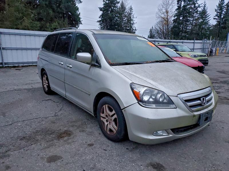 5FNRL38775B133848 - 2005 HONDA ODYSSEY EXL SILVER photo 4