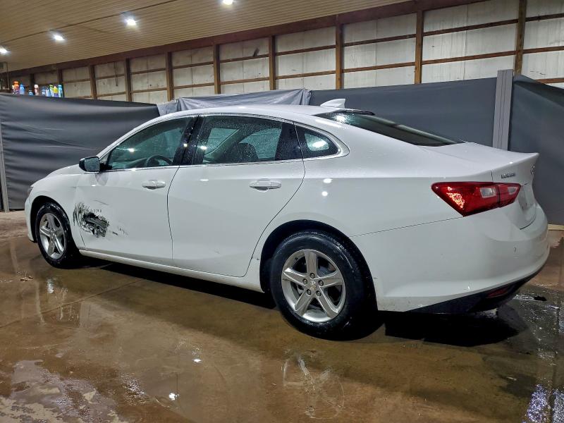 1G1ZD5ST5RF122694 - 2024 CHEVROLET MALIBU LT 白色 照片 2