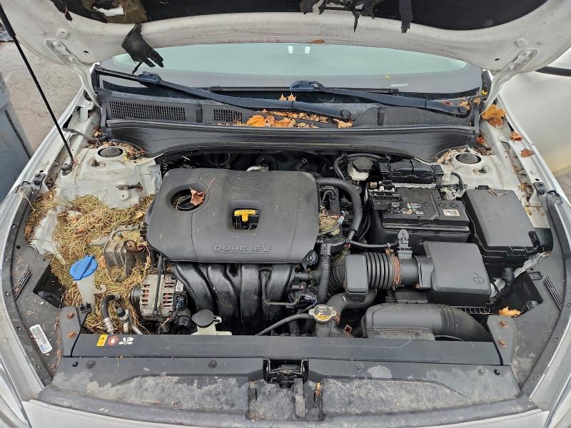 3KPF24AD6KE076541 - 2019 KIA FORTE FE Ақ фото 11