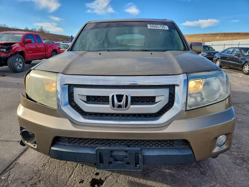 5FNYF48639B017648 - 2009 HONDA PILOT EXL GOLD photo 5