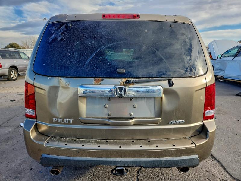 5FNYF48639B017648 - 2009 HONDA PILOT EXL GOLD photo 6