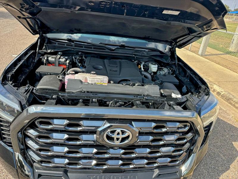 5TFNA5DB8NX027893 - 2022 TOYOTA TUNDRA CREWMAX PLATINUM Qara foto 7