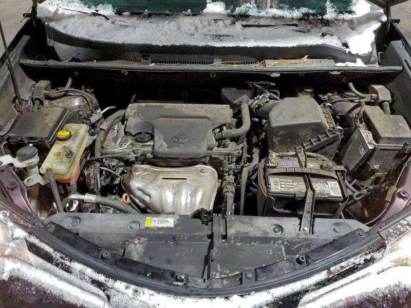 2T3BFREV7GW493357 - 2016 TOYOTA RAV4 LE Granate foto 12