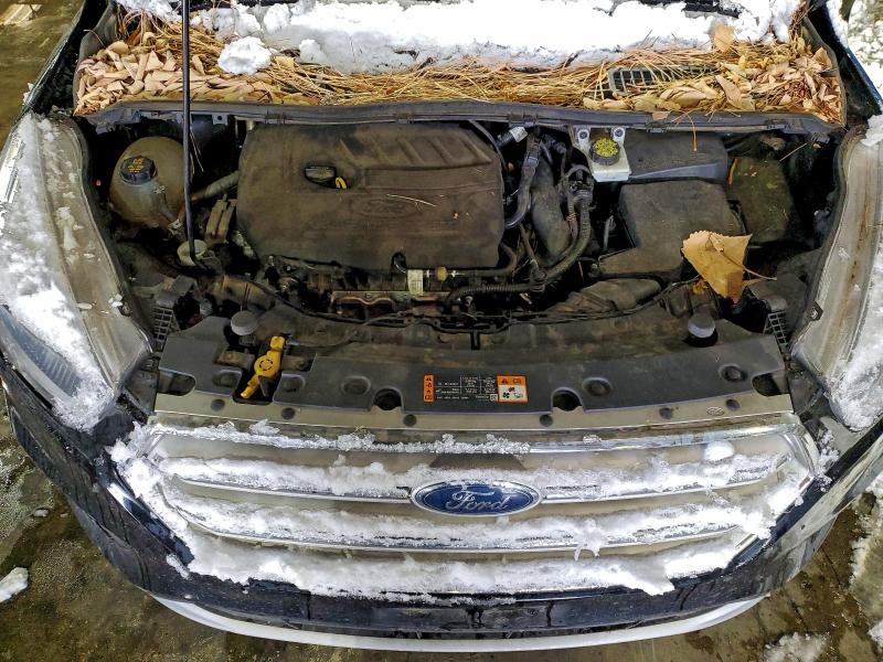 1FMCU0GD6JUB62019 - 2018 FORD ESCAPE SE Սև լուսանկար 11