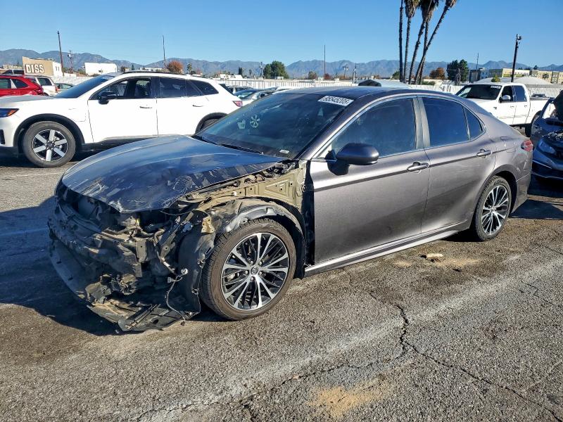 2019 TOYOTA CAMRY L, 