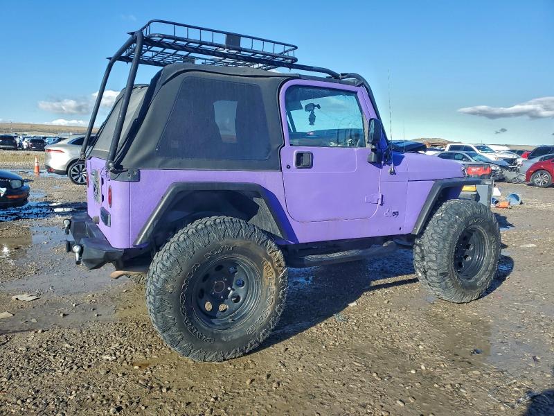 1J4FA39S65P360962 - 2005 JEEP WRANGLER X PURPLE photo 3